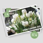 Nieuwe catalogus: Spring Flowering Collection 2026